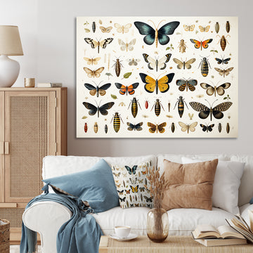 Blue and yellow Insects and Bugs - Insects & Bugs Home Decor Art